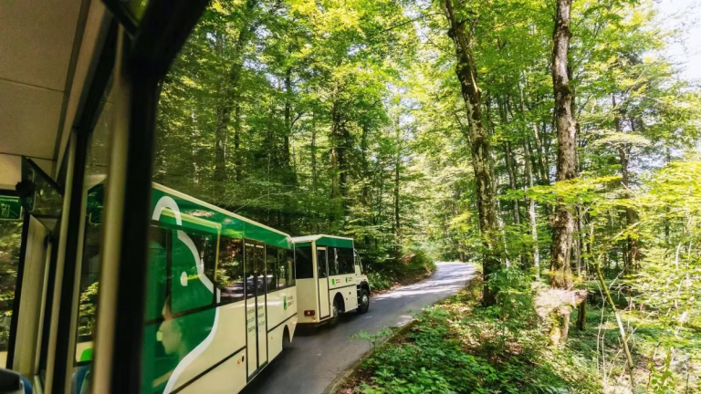 Plitvice Lakes Guided Tour with Train and Boat Ride On-Site