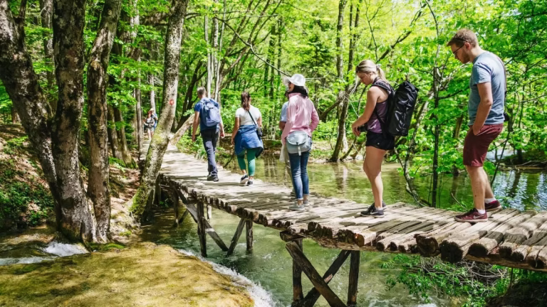 Plitvice Lakes Tours from Split All Options Compared 2026