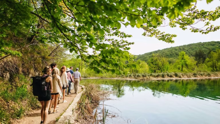 Plitvice Lakes Tours from Zadar Best Options for 2026