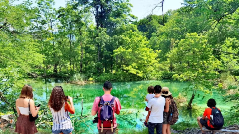 Plitvice Lakes Guided Tour from Zadar